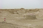 IMG_5131