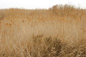IMG_5160