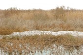 IMG_5162