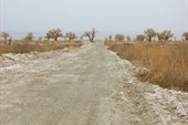 IMG_5163
