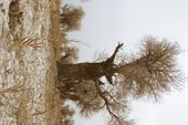 IMG_5168