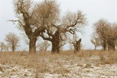 IMG_5169