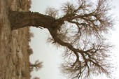 IMG_5170