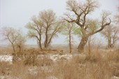 IMG_5176