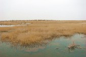 IMG_5186
