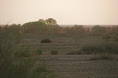 IMG_5229