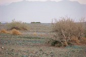 IMG_5257