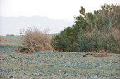 IMG_5258
