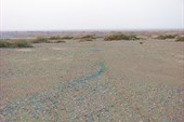 IMG_5259