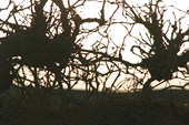 IMG_5261