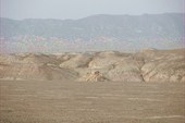 IMG_5318