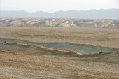 IMG_5365