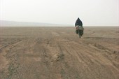 IMG_5375