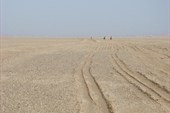 IMG_5383