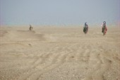 IMG_5384