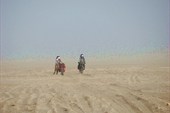 IMG_5386