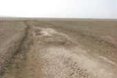 IMG_5404