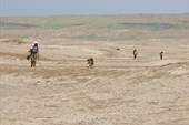 IMG_5436