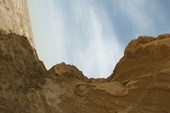 IMG_5437