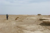 IMG_5441