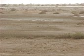 IMG_5480