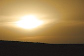 IMG_5488