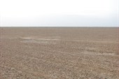 IMG_5499