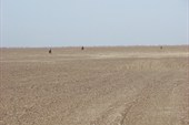 IMG_5544
