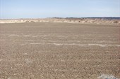 IMG_5546
