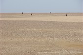 IMG_5554