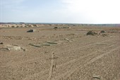 IMG_5557