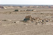 IMG_5558