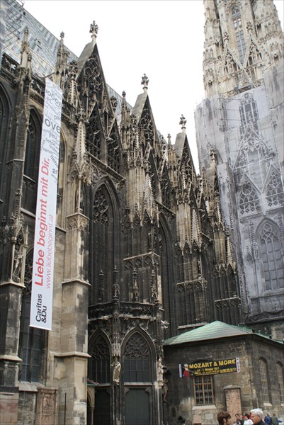 Кафедральный собор (Вена)