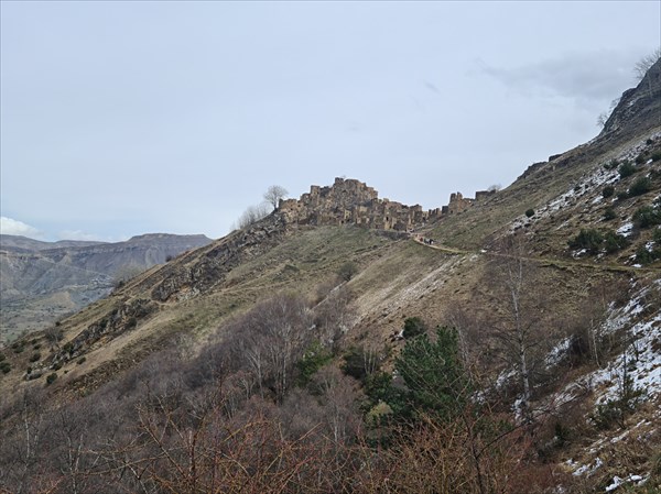 019-Гамсутль