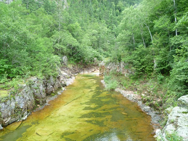Река Милоградовка.