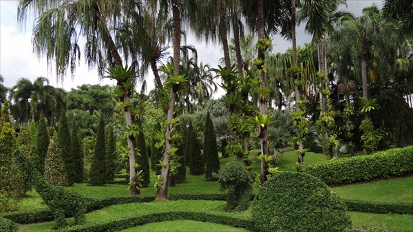 Тропический ботанический сад Нонг Нуч.