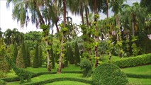 Тропический ботанический сад Нонг Нуч.