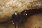 В полости пещеры.