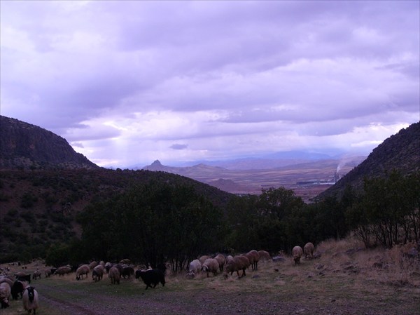 P1020319