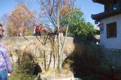 chineese_venice