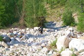 IMG_0087_rs