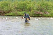 IMG_0102_rs
