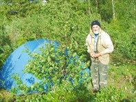 Стоянка на Хулге в березках