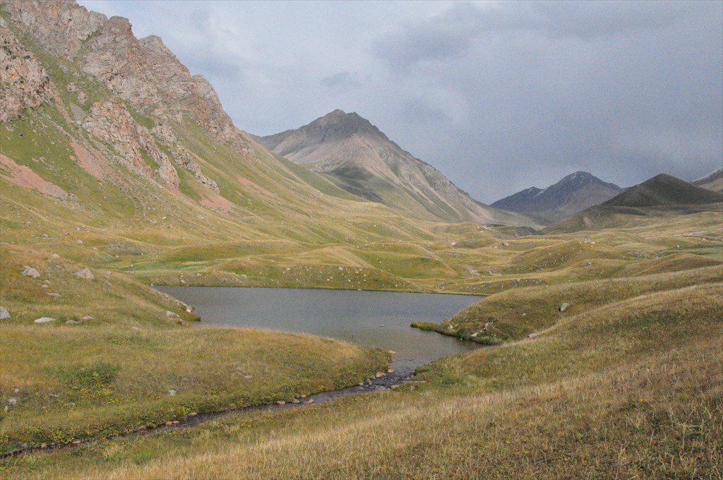 Каргалы казахстан