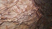 Потолок 3-пещера Мокрушинская