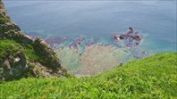 Риф-Японское море