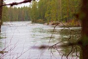 Порог Островной. По нашей воде почти незаметен.