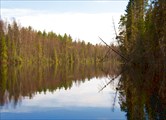 Шуя в нижнем течении широка и спокойна.