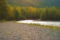 Дальний Восток. Осень. Фото Петренко Евгении