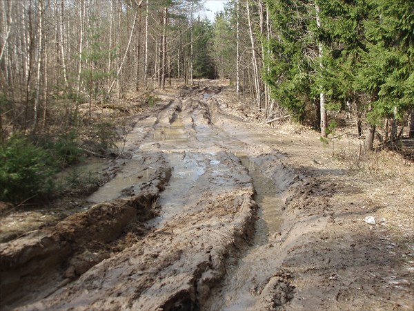 Такие дороги